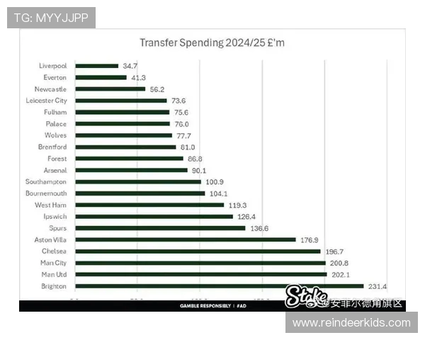 英超球队年度支出统计