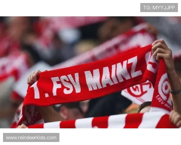 德甲球队邮寄地址大全：写信给俱乐部的方式