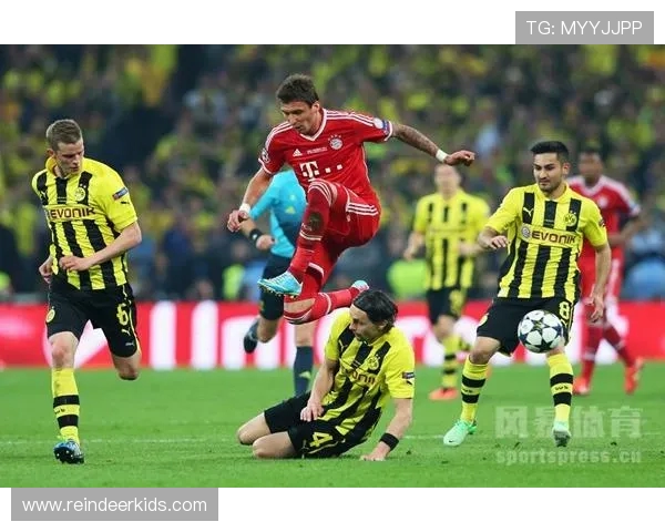 德甲球队划分关系图及历史演变说明