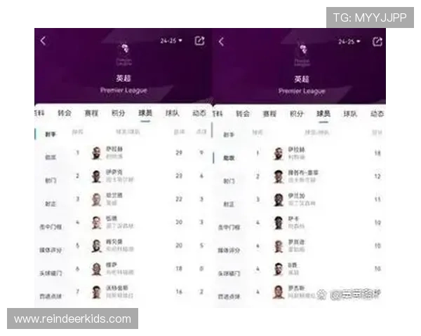 热刺队英超球员的国籍构成与多元化分析