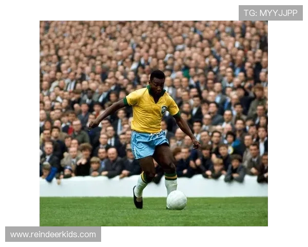 巴西世界杯决赛全程回顾及精彩瞬间分析